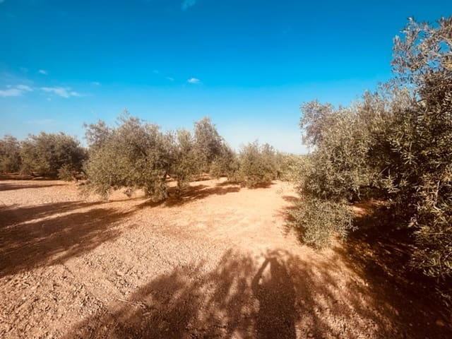 2 soveværelse Finca/Landehus til salg i Fuente de Piedra med garage - € 115.000 (Ref: 9109307)