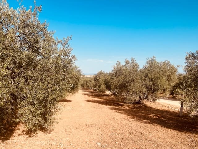 2 soveværelse Finca/Landehus til salg i Fuente de Piedra med garage - € 115.000 (Ref: 9109307)