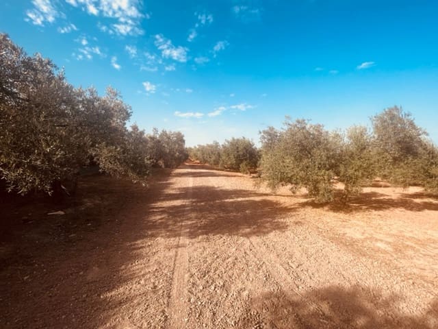 2 soveværelse Finca/Landehus til salg i Fuente de Piedra med garage - € 115.000 (Ref: 9109307)