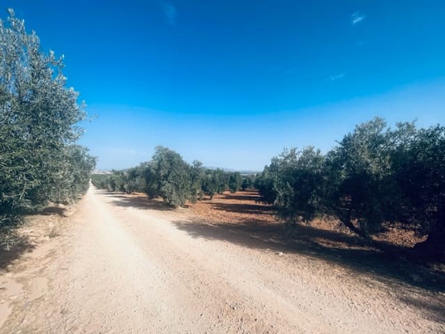 2 soveværelse Finca/Landehus til salg i Fuente de Piedra med garage - € 115.000 (Ref: 9109307)