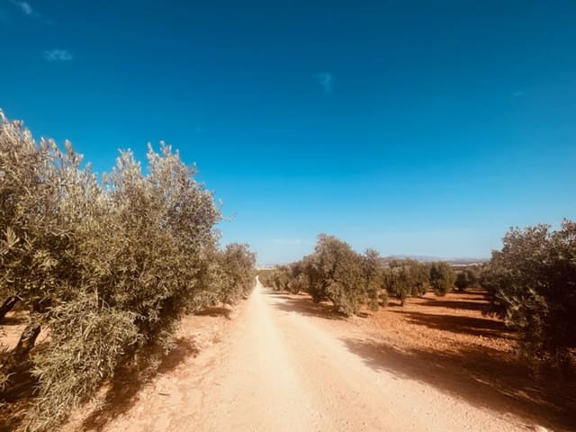 2 soveværelse Finca/Landehus til salg i Fuente de Piedra med garage - € 115.000 (Ref: 9109307)