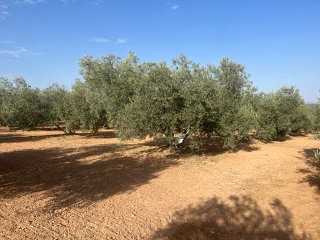 2 soveværelse Finca/Landehus til salg i Fuente de Piedra med garage - € 115.000 (Ref: 9109307)