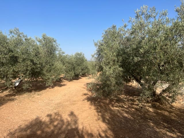 2 soveværelse Finca/Landehus til salg i Fuente de Piedra med garage - € 115.000 (Ref: 9109307)