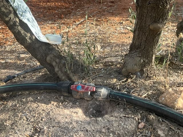 2 soveværelse Finca/Landehus til salg i Fuente de Piedra med garage - € 115.000 (Ref: 9109307)