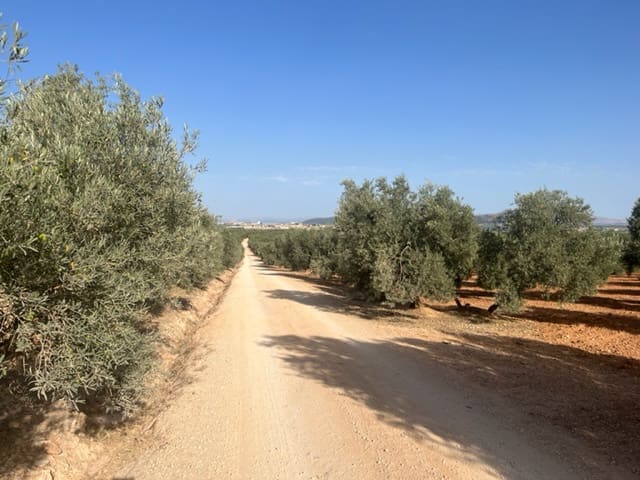 2 soveværelse Finca/Landehus til salg i Fuente de Piedra med garage - € 115.000 (Ref: 9109307)