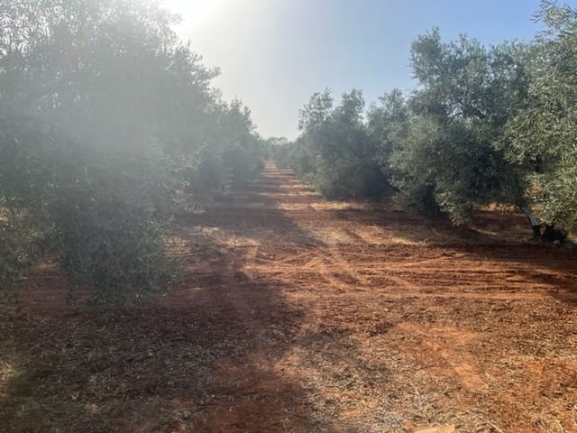 2 soveværelse Finca/Landehus til salg i Fuente de Piedra med garage - € 115.000 (Ref: 9109307)