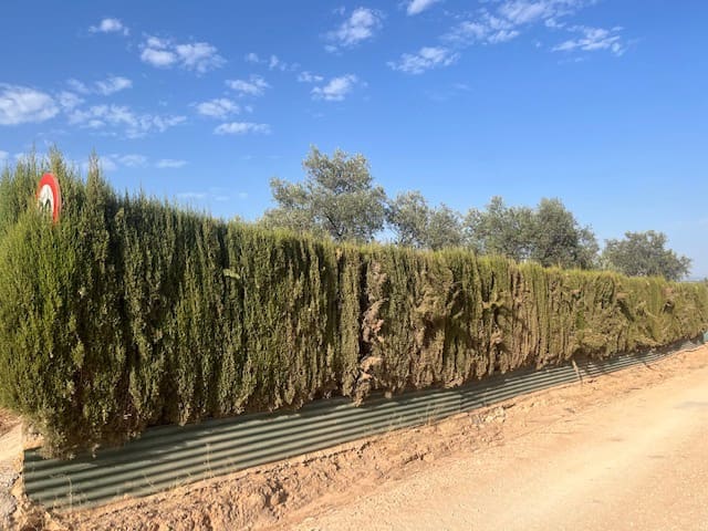 2 soveværelse Finca/Landehus til salg i Fuente de Piedra med garage - € 115.000 (Ref: 9109307)