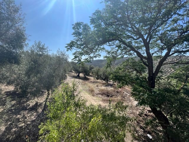 Finca/Landehus til salg i Villanueva de Algaidas - € 149.000 (Ref: 9110715)