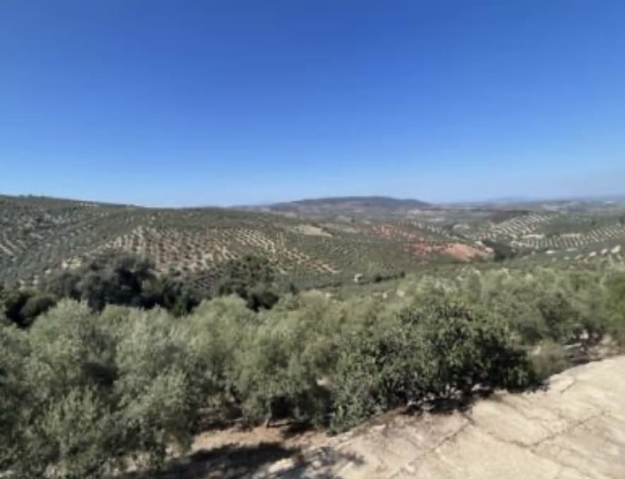 Finca/Landehus til salg i Villanueva de Algaidas - € 149.000 (Ref: 9110715)