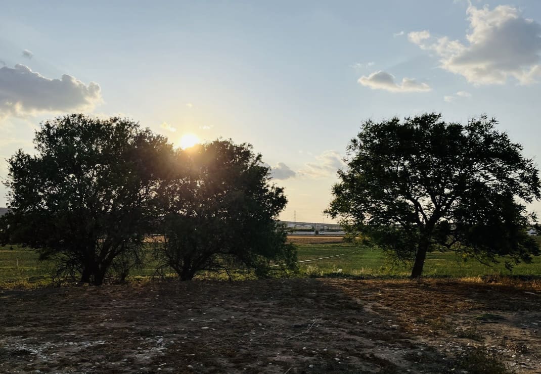 8 soveværelse Finca/Landehus til salg i Antequera med swimmingpool garage - € 430.000 (Ref: 9209545)