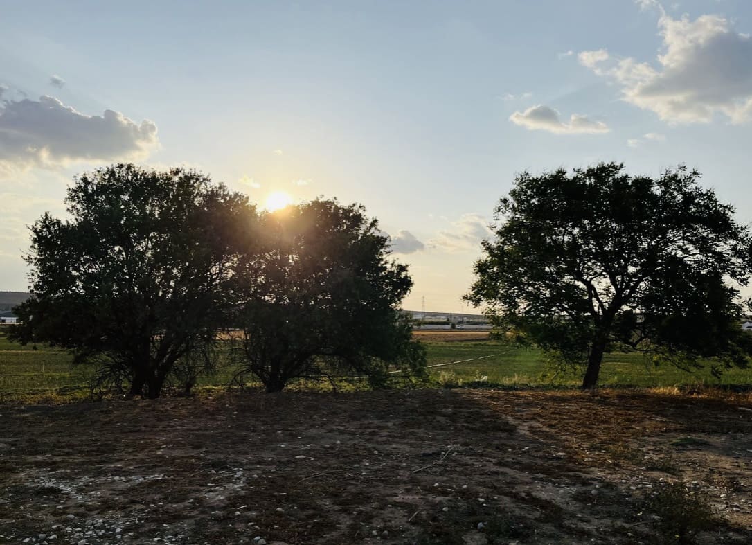 8 soveværelse Finca/Landehus til salg i Antequera med swimmingpool garage - € 430.000 (Ref: 9209545)