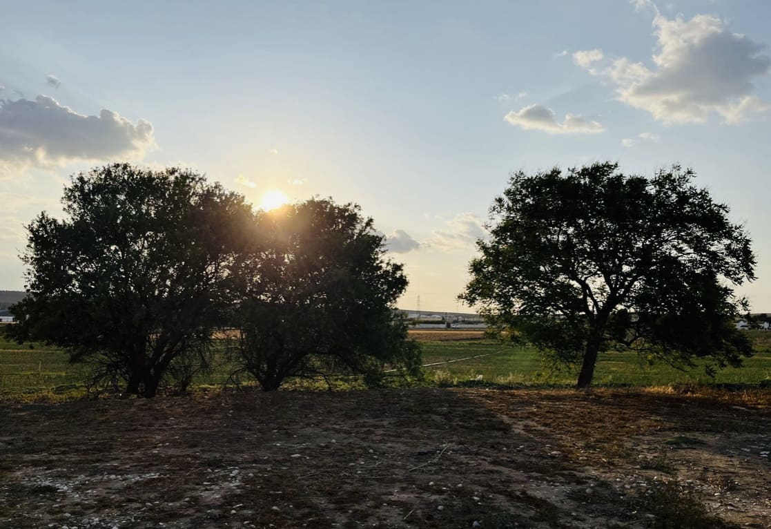 8 soveværelse Finca/Landehus til salg i Antequera med swimmingpool garage - € 430.000 (Ref: 9209545)