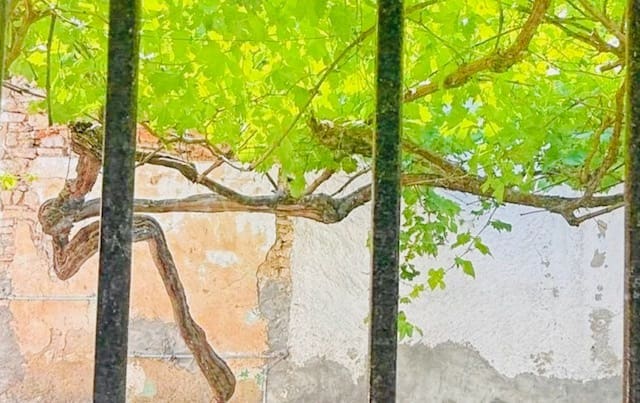 3 chambre Maison de Ville à vendre à Alfarnate - 105 000 € (Ref: 9289801)