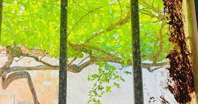 3 soverom Hus til salgs i Alfarnate - € 105 000 (Ref: 9289801)