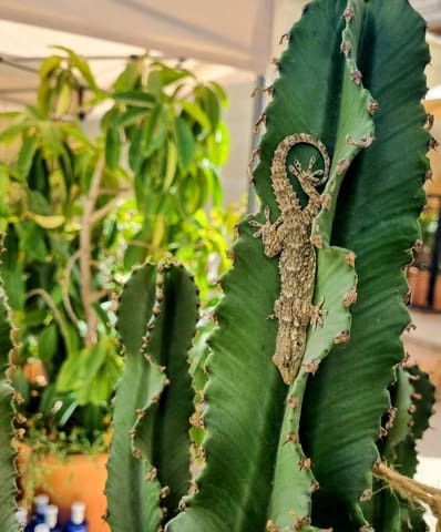 4 sypialnia Dom na sprzedaż w Zuheros - 249 000 € (Ref: 9295049)