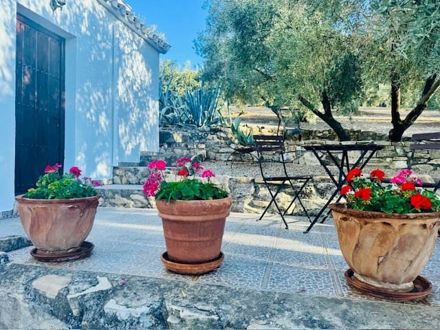 5 soveværelse Finca/Landehus til salg i Iznajar med swimmingpool garage - € 375.000 (Ref: 9314600)