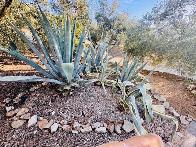 5 soveværelse Finca/Landehus til salg i Iznajar med swimmingpool garage - € 375.000 (Ref: 9314600)