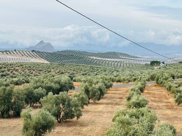 2 soverom Finca/Herregård til salgs i Antequera - € 165 000 (Ref: 9319992)