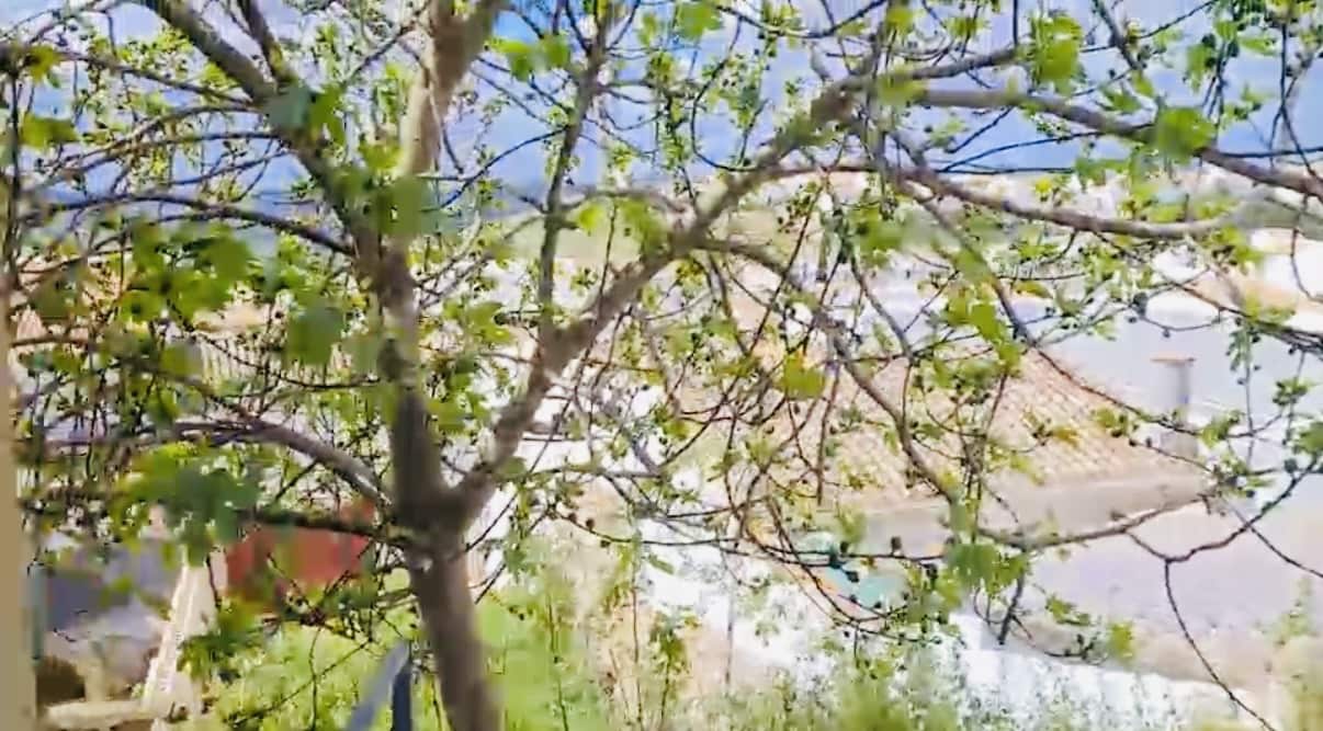 5 sovrum Hus till salu i Teba - 69 950 € (Ref: 9356462)