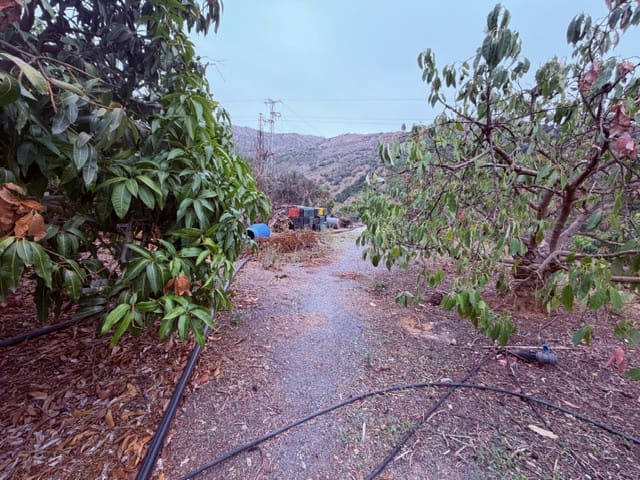 4 soveværelse Finca/Landehus til salg i Cutar - € 265.000 (Ref: 9388164)