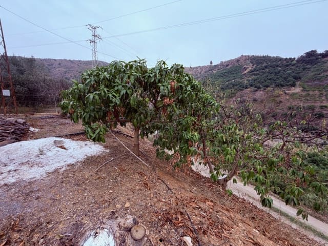 4 soveværelse Finca/Landehus til salg i Cutar - € 265.000 (Ref: 9388164)