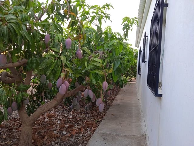 4 soverom Finca/Herregård til salgs i Cútar - € 265 000 (Ref: 9388164)