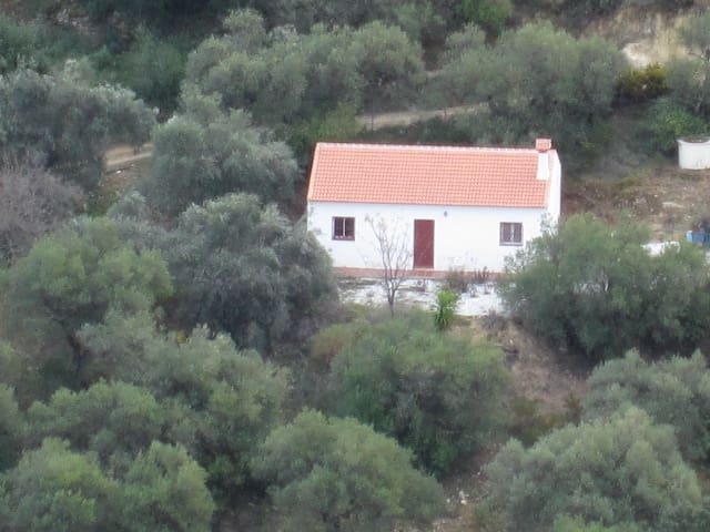 3 sypialnia Finka/Dom wiejski na sprzedaż w Colmenar z basenem - 165 000 € (Ref: 9388165)