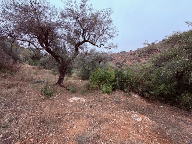 3 sypialnia Finka/Dom wiejski na sprzedaż w Colmenar z basenem - 165 000 € (Ref: 9388165)