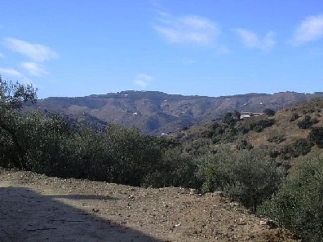 3 sypialnia Finka/Dom wiejski na sprzedaż w Colmenar z basenem - 165 000 € (Ref: 9388165)