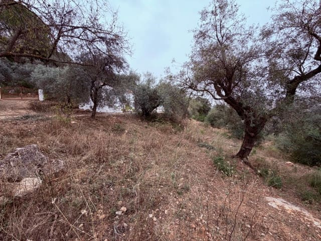 3 sypialnia Finka/Dom wiejski na sprzedaż w Colmenar z basenem - 165 000 € (Ref: 9388165)