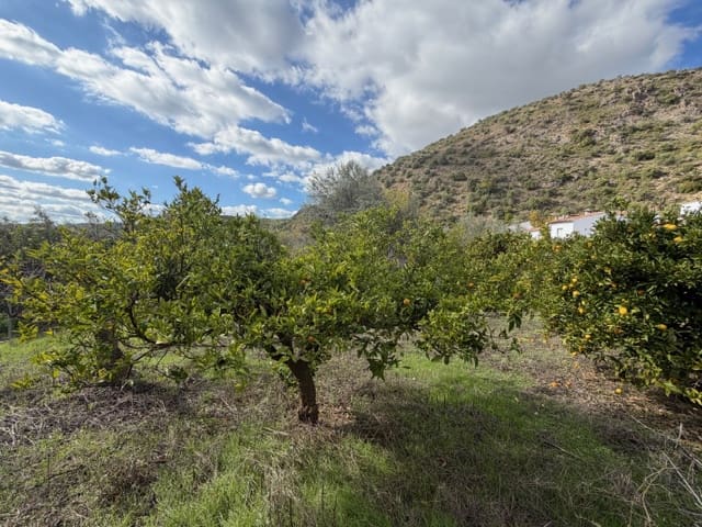 3 bedroom Finca/Country House for sale in Periana - € 109,000 (Ref: 9409836)