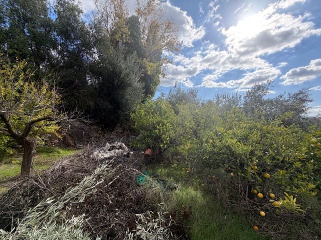 3 bedroom Finca/Country House for sale in Periana - € 109,000 (Ref: 9409836)