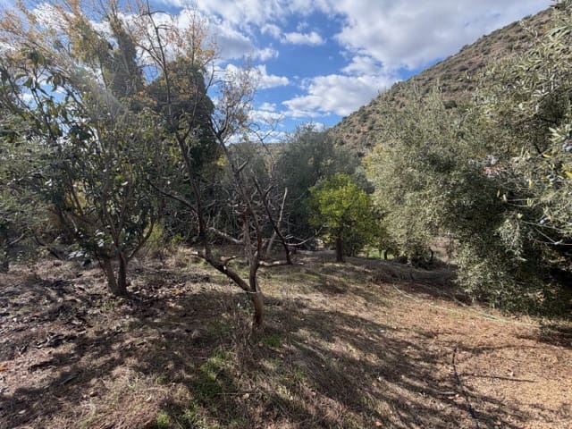 3 bedroom Finca/Country House for sale in Periana - € 109,000 (Ref: 9409836)