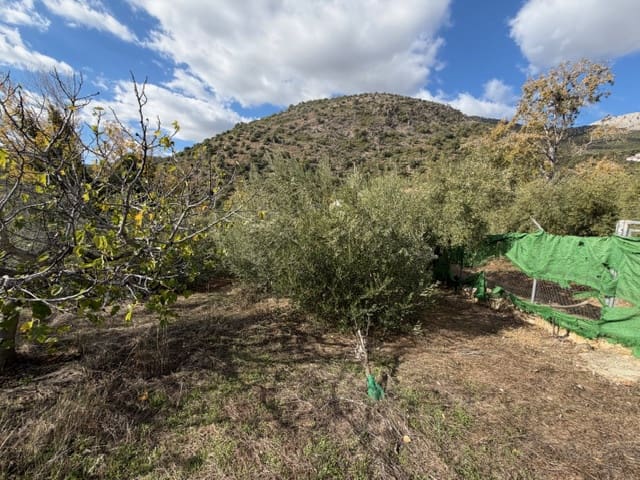 3 bedroom Finca/Country House for sale in Periana - € 109,000 (Ref: 9409836)