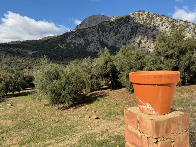 1 soverom Finca/Herregård til salgs i Alfarnatejo med garasje - € 129 950 (Ref: 9410208)