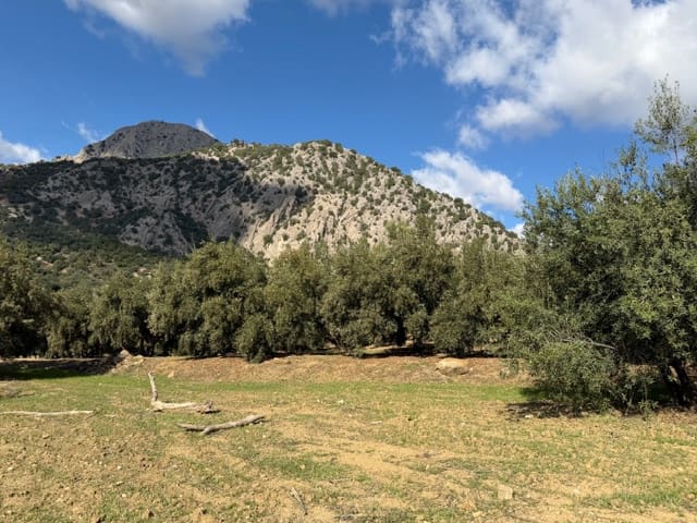 1 soverom Finca/Herregård til salgs i Alfarnatejo med garasje - € 129 950 (Ref: 9410208)