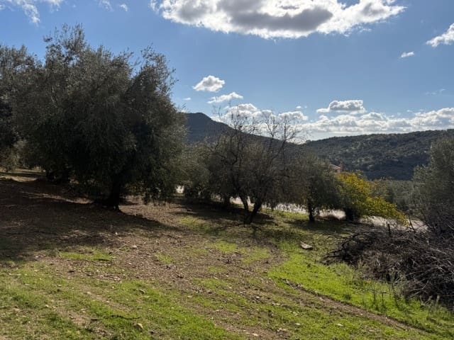 1 soverom Finca/Herregård til salgs i Alfarnatejo med garasje - € 129 950 (Ref: 9410208)