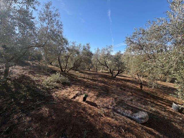 Chalet de 2 habitaciones en Villanueva del Rosario en venta con garaje - 365.000 € (Ref: 9442809)