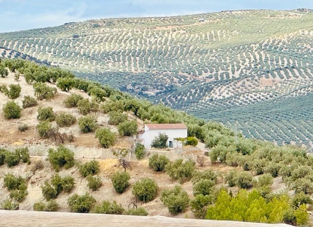 3 sovrum Finca/Hus på landet till salu i Iznájar med garage - 129 000 € (Ref: 9586831)