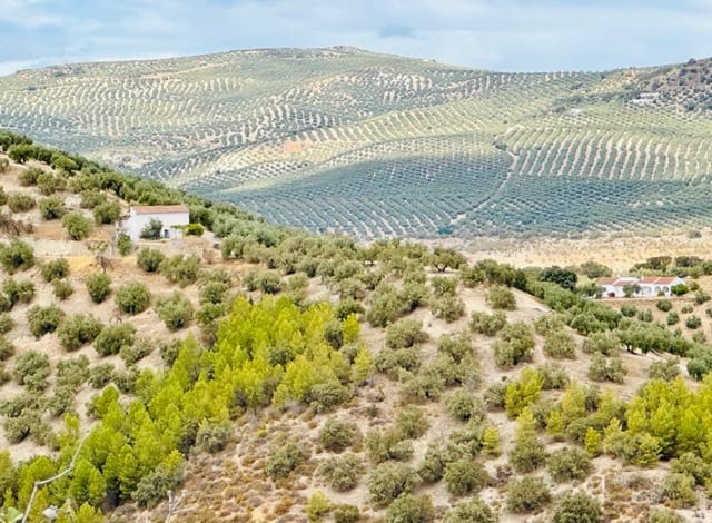 3 sovrum Finca/Hus på landet till salu i Iznájar med garage - 129 000 € (Ref: 9586831)