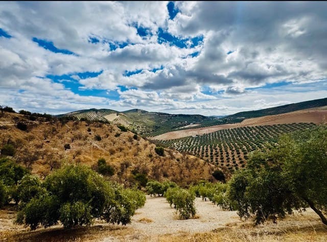 3 sovrum Finca/Hus på landet till salu i Iznajar med garage - 129 000 € (Ref: 9586831)