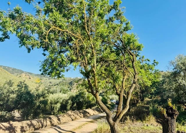 3 sovrum Finca/Hus på landet till salu i Iznajar med garage - 129 000 € (Ref: 9593218)