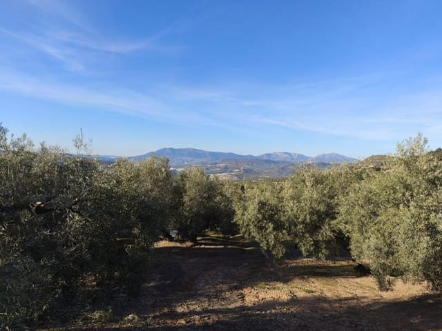 3 chambre Finca/Maison de Campagne à vendre à Iznajar avec garage - 99 950 € (Ref: 9626284)