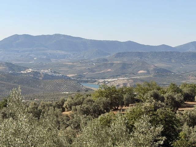 3 chambre Finca/Maison de Campagne à vendre à Iznajar avec garage - 99 950 € (Ref: 9626284)