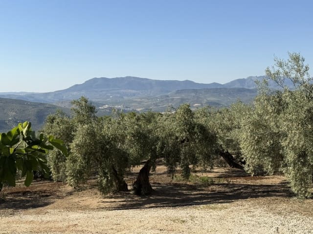 3 chambre Finca/Maison de Campagne à vendre à Iznajar avec garage - 99 950 € (Ref: 9626284)