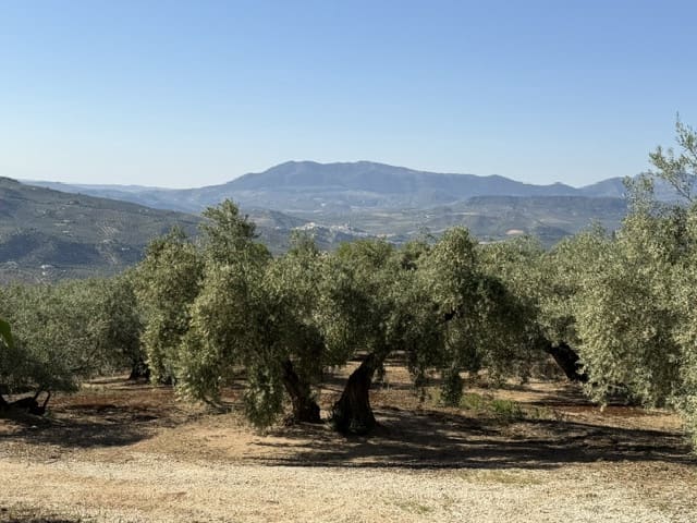 3 chambre Finca/Maison de Campagne à vendre à Iznajar avec garage - 99 950 € (Ref: 9626284)