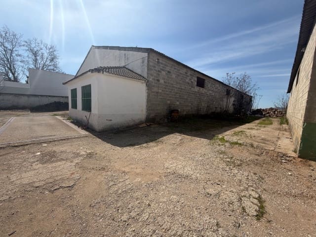 Commercial for sale in Fuente de Piedra - € 500,000 (Ref: 9676417)