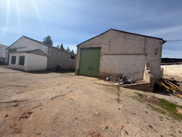 Commercieel te koop in Fuente de Piedra - € 500.000 (Ref: 9676417)