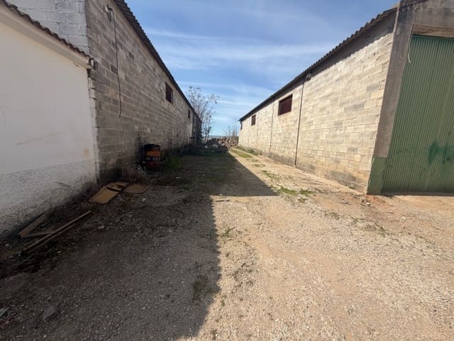 Commercieel te koop in Fuente de Piedra - € 500.000 (Ref: 9676417)
