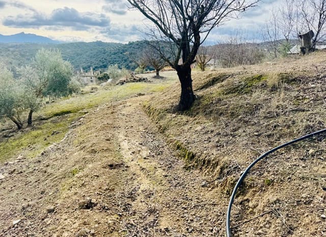 3 Zimmer Finca/Landgut zu verkaufen in Loja mit Garage - 173.000 € (Ref: 9693111)